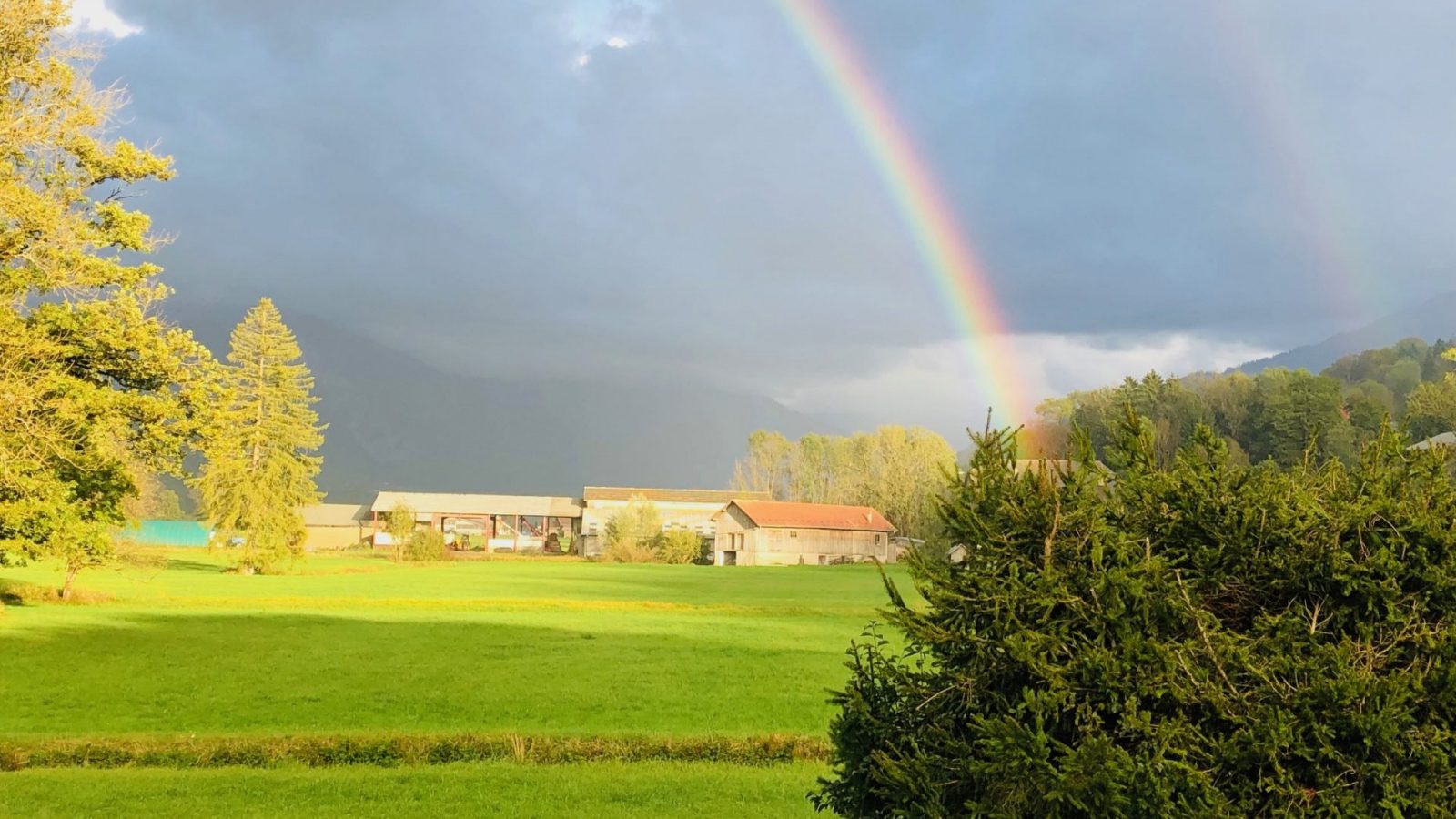 Les divagations de Lola