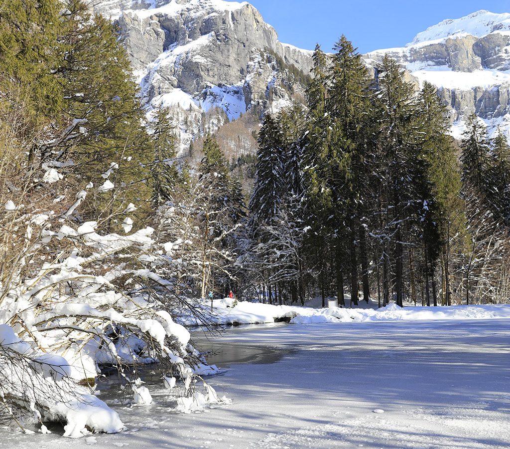 Bienvenue dans le Haut-Giffre