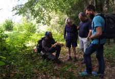 Randonnée accompagnée : Découverte des plantes culinaires