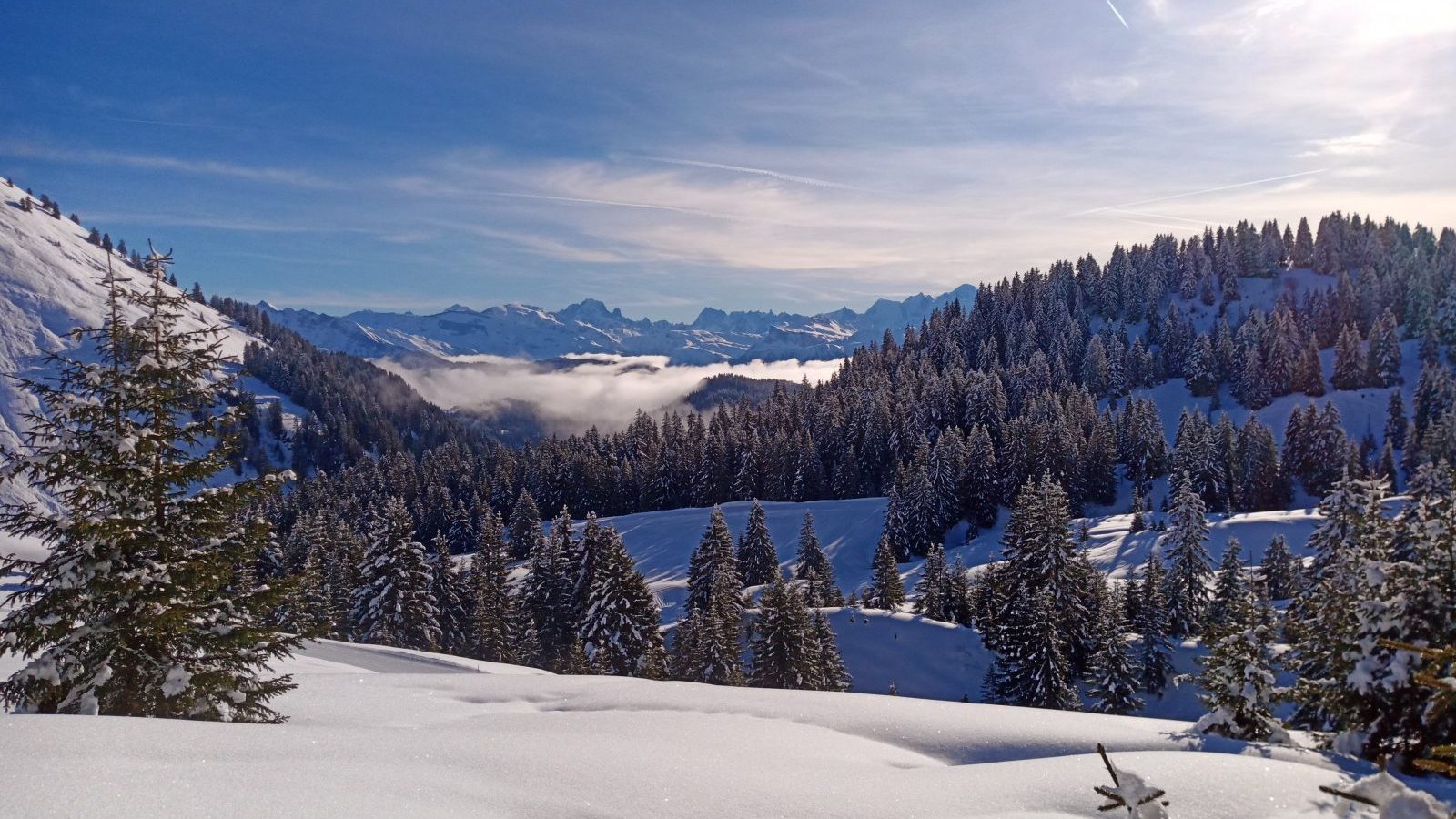 Se connecter à la nature