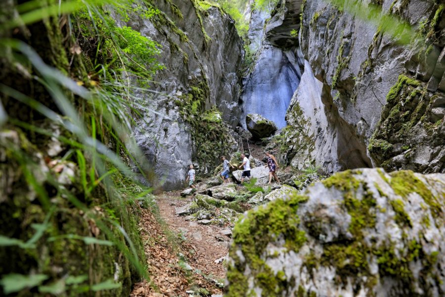 Balade des Gorges des Tines