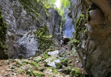 Balade pédestre : Les Gorges des Tines