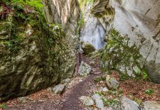 Balade pédestre : Les Gorges des Tines