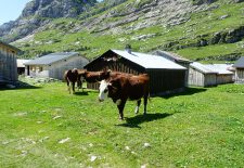 Randonnée pédestre : Vers le refuge de Sales