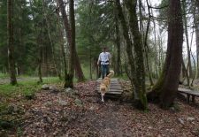 Sortie encadrée à la découverte de la Cani-randonnée