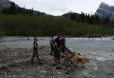 Sortie encadrée à la découverte de la Cani-randonnée