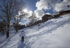 Sortie accompagnée en raquettes à neige : L’aventure hivernale pour tous