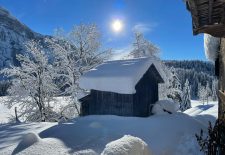 Sortie accompagnée en raquettes à neige : L’aventure hivernale pour tous
