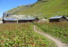 Randonnée pédestre : Vers le refuge de Sales