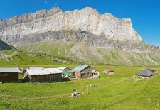 Observations et Echanges au refuge Alfred Wills