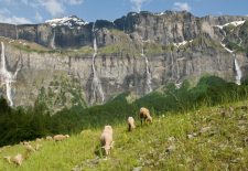 Les 30 Cascades du Cirque du Fer à Cheval