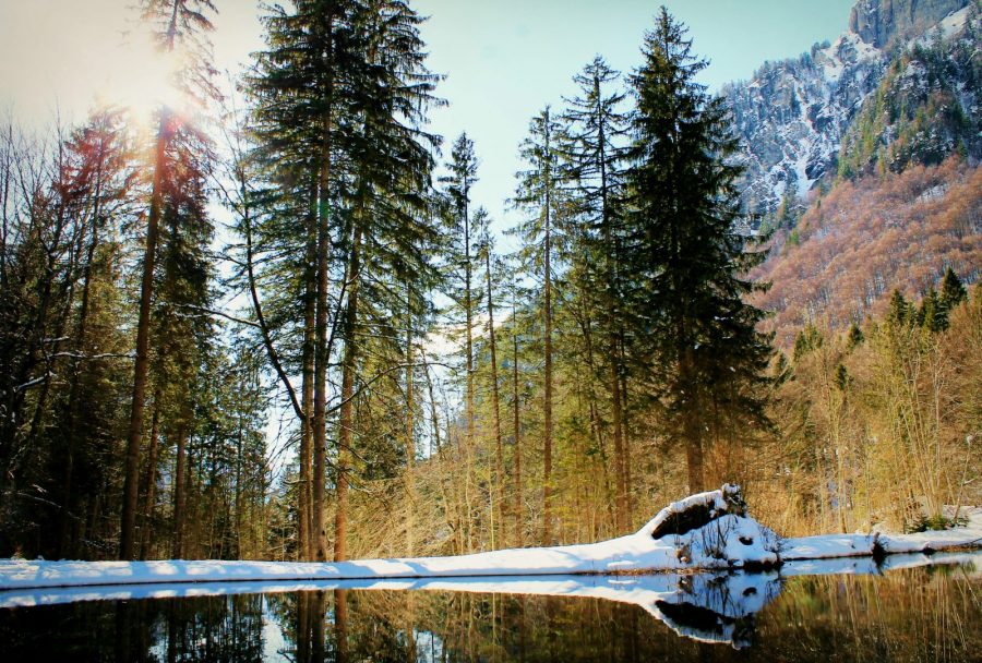 Sur le chemin à l’arrivée