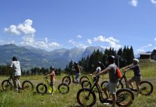 Sport 2000 Morillon 1100