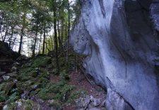 Les Gorges des Tines