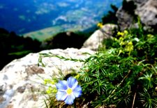 Randonnée pédestre : Dent de Verreu