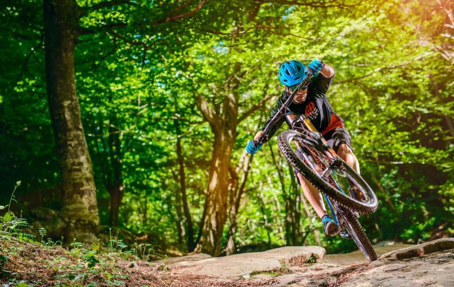 location vélo vtt électrique vvtae samoens