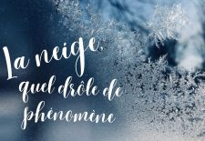 La neige, mais quel drôle de phénomène !