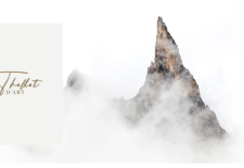 Barbara Thollot – Galerie d&rsquo;Art