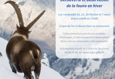 Animation « Les animaux face à l’hiver »