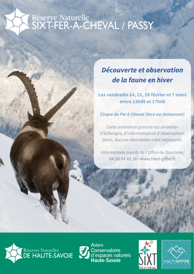 Animation « Les animaux face à l’hiver »_Sixt-Fer-à-Cheval