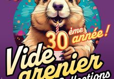 Vide Grenier & Collections