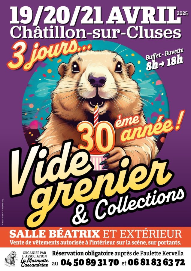 Vide Grenier & Collections_Châtillon-sur-Cluses