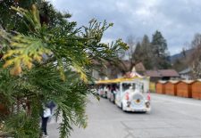 Septitrain : circuits commentés à bord du petit train de Samoëns