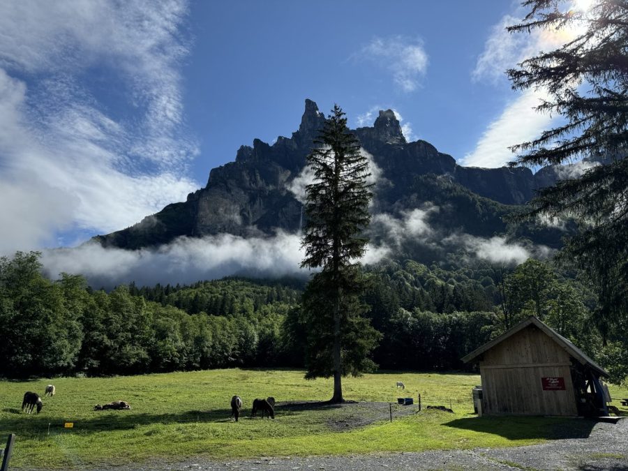 Au Fil du Giffre – Petites merveilles et pépites entre Taninges et Sixt-Fer-à-Cheval_Taninges