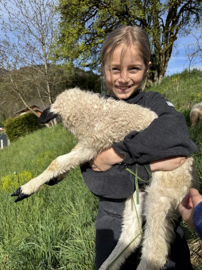 Immersion au coeur d’un troupeau