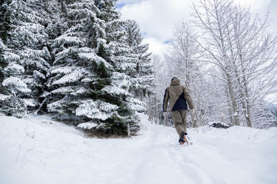 Itinéraure raquettes pédestre : Le Refuge de Golèse (non balisé)_Samoëns