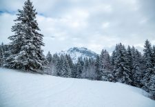 Itinéraire raquettes : Les Allamands