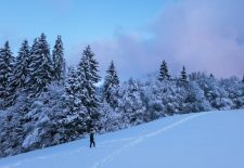 Itinéraire raquettes : La Rosière