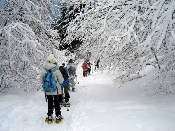 Profitez de bons plans sur vos activités