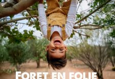 Forêt en folie