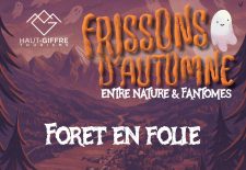 Forêt en Folie