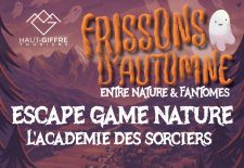 L’académie des sorciers