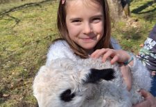 Immersion au cœur du troupeau