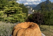 Sortie nature : observation chamois, tourbière et goûter en alpage