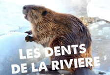 Les dents de la rivière