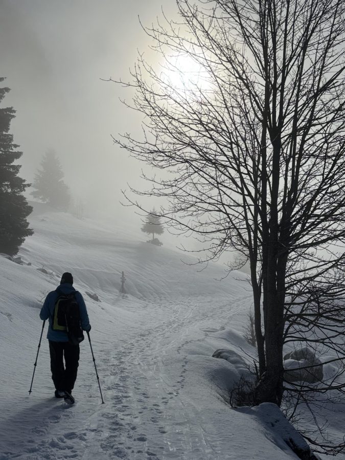 Ambiance neige sentier secret Sommand