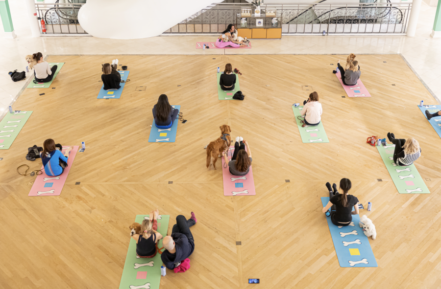 Cours Doga au Bon Marché