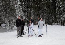 Randonnée accompagnée en raquettes : Observation de la faune en milieu forestier