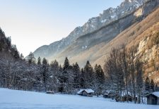 Randonnée en raquettes : Observation bouquetins et réserve naturelle