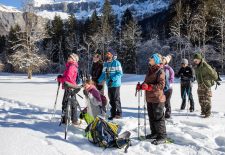 Randonnée en raquettes : Observation bouquetins et réserve naturelle