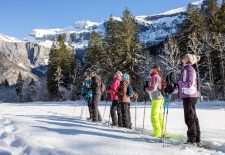 Randonnée en raquettes : Observation bouquetins et réserve naturelle