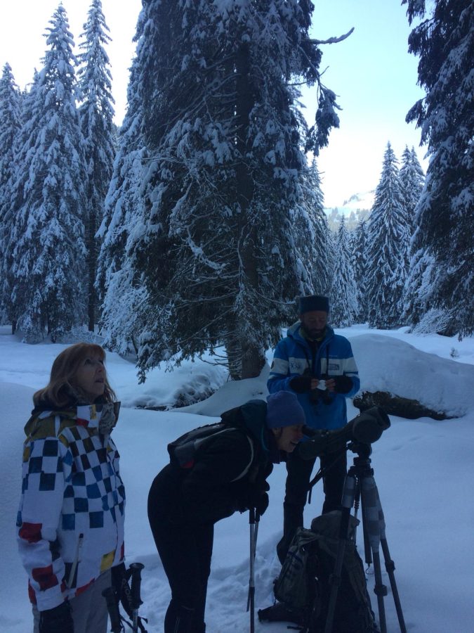 Randonnée accompagnée en raquettes : la vie en montagne_Sixt-Fer-à-Cheval