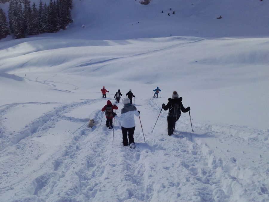 Randonnée accompagnée en raquettes : la vie en montagne_Sixt-Fer-à-Cheval