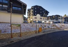 Exposition de photos animalières en plein air