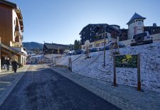 Exposition de photos animalières en plein air