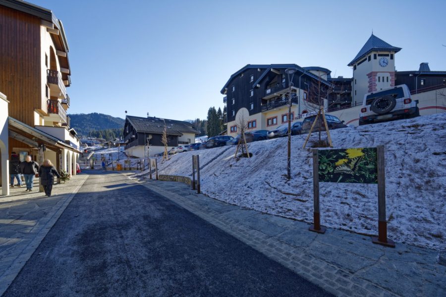 Exposition de photos animalières en plein air_Morillon